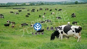 乳品行業(yè)解決方案